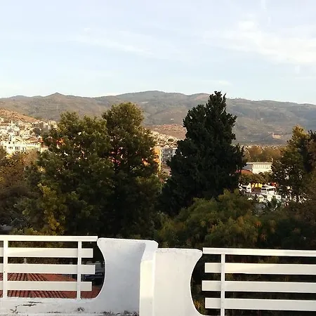 نايسي فندق