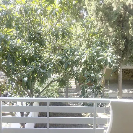 نايسي 3*